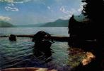 Lago Maggiore, Gelopen, 1960 tot 1980, Ophalen of Verzenden, Italië