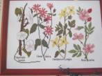 Borduurpatroon  Veldbloemen  nr 4295, Hobby en Vrije tijd, Borduren en Borduurmachines, Verzenden, Nieuw, Handborduren, Patroon