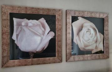 Set Grote ROFRA schilderijen 88X88cm beschikbaar voor biedingen