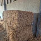 Wintergerst stro grote balen, Dieren en Toebehoren, Ophalen of Verzenden, Vee