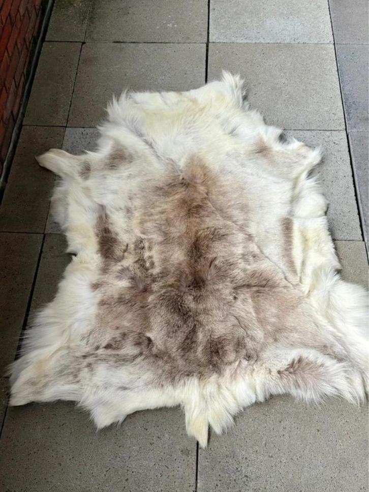 Vloerkleed rendierhuid, Huis en Inrichting, Stoffering | Tapijten en Kleden, Zo goed als nieuw, 50 tot 100 cm, 100 tot 150 cm