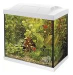 Superfish 50 start, Dieren en Toebehoren, Vissen | Aquaria en Toebehoren, Ophalen, Leeg aquarium