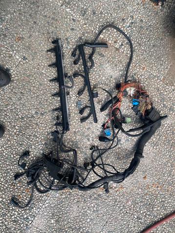 motor kabelboom  met  injectoren  M52B25 met ECU en EWS beschikbaar voor biedingen
