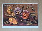 Cacao van Houten - Violette - collectie gem. museum Weesp, Ophalen of Verzenden, 1980 tot heden, Ongelopen, Cultuur en Media