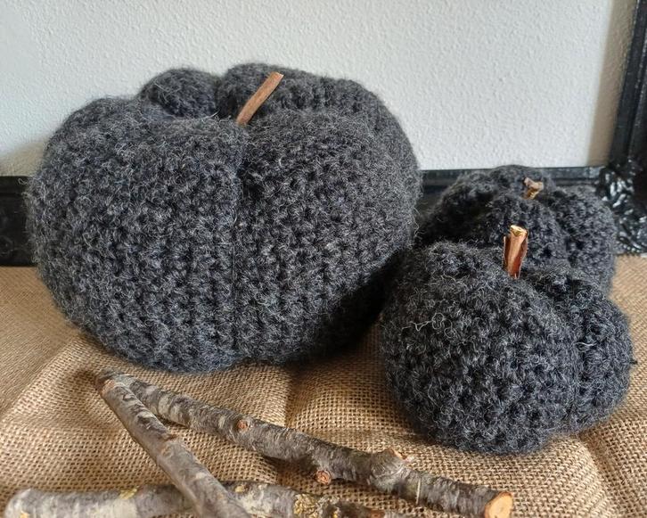 NIEUW Pompoenen, Huis en Inrichting, Woonaccessoires | Overige, Zo goed als nieuw, Ophalen of Verzenden