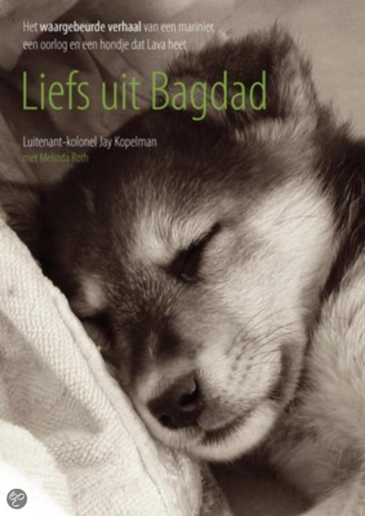 Liefs uit Bagdad - Marinier Luit.-Kolonel Kopelman 2011., Boeken, Oorlog en Militair, Zo goed als nieuw, Overige onderwerpen, 1945 tot heden