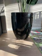 Mooie grote bloempot zwart glazuur, Tuin en Terras, Ophalen, 40 cm of meer, Zo goed als nieuw, Tuin