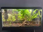 mooi aquarium met veel guppies en garnalen, Ophalen of Verzenden, Zo goed als nieuw, Gevuld zoetwateraquarium