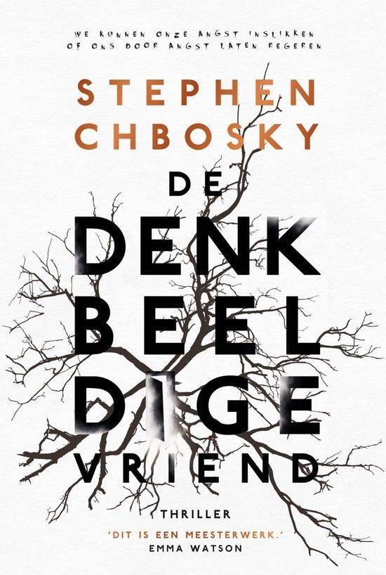 De denkbeeldige vriend - Stephen Chbosky, Boeken, Thrillers, Zo goed als nieuw, Wereld overig, Ophalen of Verzenden