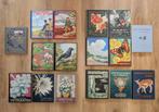 Plaatjesalbums Thijsse Portielje Van Laren Kuylman Vlymen, Boeken, Prentenboeken en Plaatjesalbums, Ophalen of Verzenden, Zo goed als nieuw