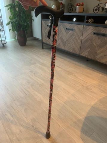 Wandelstok  beschikbaar voor biedingen