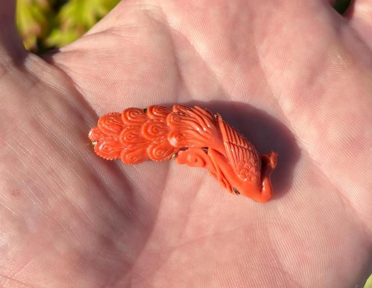 Pauw bloedkoraal broche uniek 14k goud antiek dames vintage, Sieraden, Tassen en Uiterlijk, Antieke sieraden, Broche, Goud, Met edelsteen