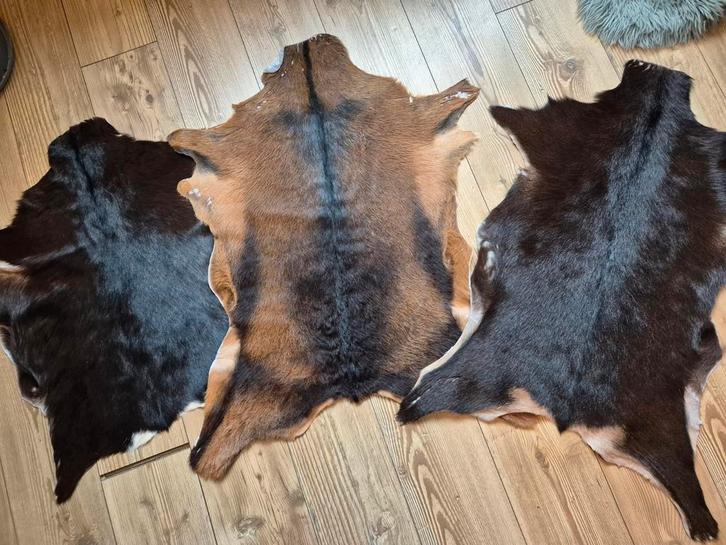 Set van 3 Geitenvacht / Geitenhuid, Huis en Inrichting, Stoffering | Tapijten en Kleden, Zo goed als nieuw, 50 tot 100 cm, 50 tot 100 cm
