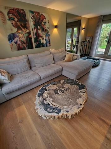 Luxe versteend houten salontafel | 1, 2 of 3-delig  beschikbaar voor biedingen