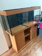 Juwel rio 240 compleet met meubel, Ophalen, Gebruikt, Leeg aquarium