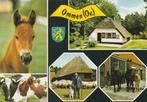 OMMEN Paard Koeien Boerderij Kudde, Verzenden, 1960 tot 1980, Ongelopen, Overijssel
