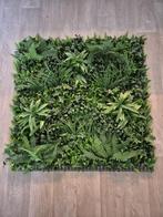 Vegetatie grof blad jungle plantenwand met dichte achterkant, Ophalen, Nieuw, Binnen