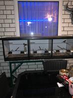 Aluminium kooi 4 vaks, Dieren en Toebehoren, Vogels | Hokken en Kooien, Ophalen of Verzenden, Zo goed als nieuw, Aluminium, Broedkooi of Kweekkooi