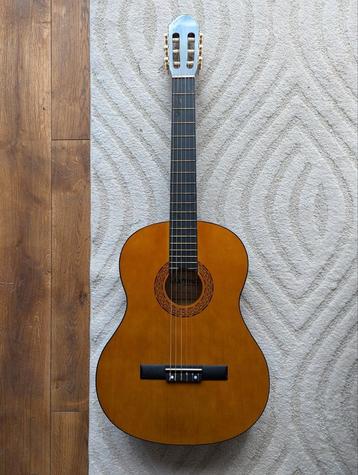 Akoestische gitaar met hoes beschikbaar voor biedingen