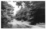 (387-046-029) Bennekom Prins Hendrikweg, Verzenden, Voor 1920, Gelderland