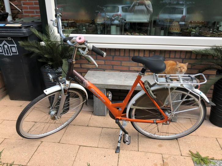 Sparta dames fiets, Fietsen en Brommers, Fietsen | Dames | Damesfietsen, Gebruikt, Sparta, Versnellingen, 53 tot 56 cm, Ophalen