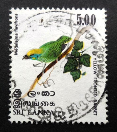 Sri Lanka - vogel - Megalaima flavifrons, Postzegels en Munten, Postzegels | Thematische zegels, Gestempeld, Dier of Natuur, Ophalen of Verzenden