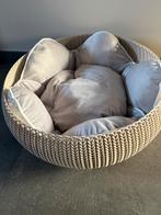 Te koop: poezenmand, Dieren en Toebehoren, Kattenmanden, Ophalen, Nieuw, Riet