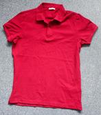 Nieuwe Colin's polo rood mt S, Nieuw, Rood, Maat 46 (S) of kleiner, Colin's