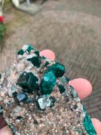 Dioptaas uit Congo, Verzamelen, Mineralen en Fossielen, Ophalen of Verzenden