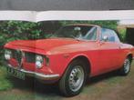 Vintage Alfa Romeo Giulia Alfetta GTV 8C P2 P3 Boek, Boeken, Auto's | Boeken, Alfa Romeo, Verzenden