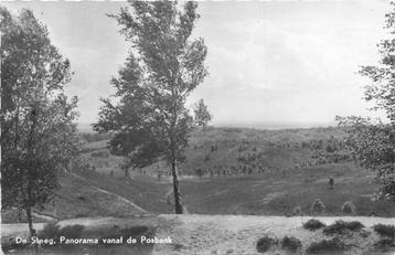 (387-235-045) De Steeg Panorama vanaf de Posbank beschikbaar voor biedingen