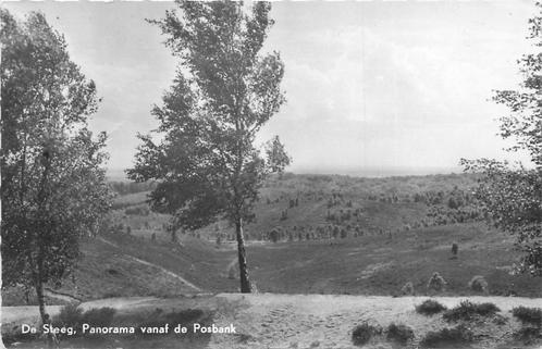 (387-235-045) De Steeg Panorama vanaf de Posbank, Verzamelen, Ansichtkaarten | Nederland, Gelderland, Verzenden