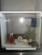 Aquarium 40L, Dieren en Toebehoren, Ophalen, Zo goed als nieuw, Leeg aquarium