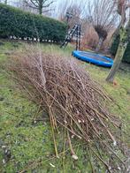 GRATIS, Wilgentakken ophalen, Tuin en Terras, Ophalen, Overige soorten, Volle zon