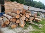 Stamhout brandhout haardhout, Tuin en Terras, 6 m³ of meer, Ophalen, Eikenhout, Stammen
