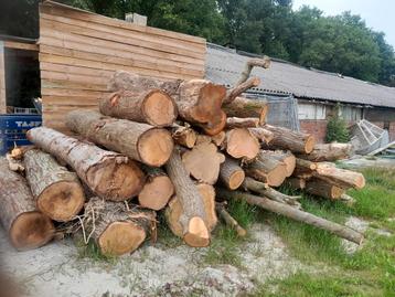 Stamhout brandhout haardhout  beschikbaar voor biedingen