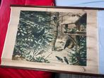Vintage Schoolplaat Vogels in de Winter, Ophalen of Verzenden