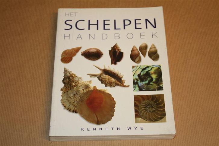 Het schelpen handboek., Verzamelen, Mineralen en Fossielen, Schelp(en), Ophalen of Verzenden