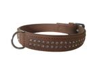 BEEZTEES Buffalo Halsband met Strass Nek 42-46,5 cm -35%!!!, Dieren en Toebehoren, Ophalen of Verzenden, Nieuw