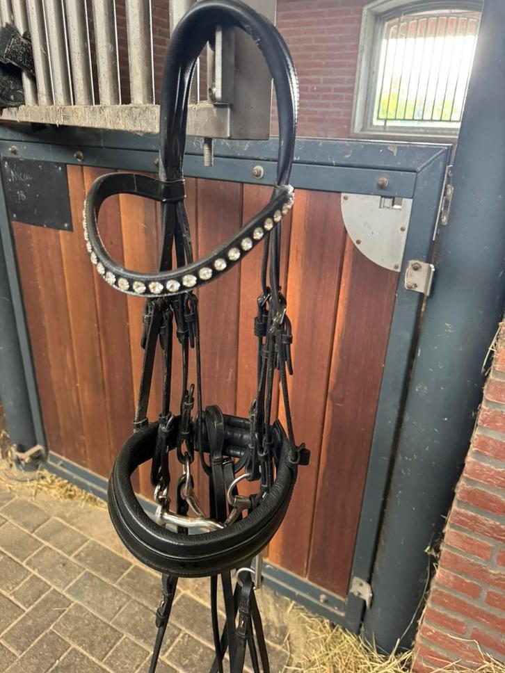 Stang en trens hoofdstel Cob, Dieren en Toebehoren, Paarden en Pony's | Hoofdstellen en Tuigage, Zo goed als nieuw, Dressuur, Ophalen of Verzenden