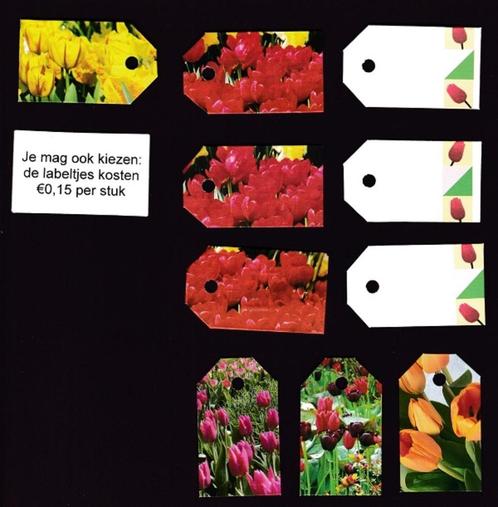 9533) tulpen; labeltjes, Verzamelen, Overige Verzamelen, Zo goed als nieuw, Ophalen of Verzenden
