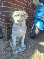 Tuinbeeld hond, Ophalen, Zo goed als nieuw, Beton, Dierenbeeld