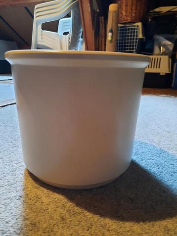 Bloempot beschikbaar voor biedingen