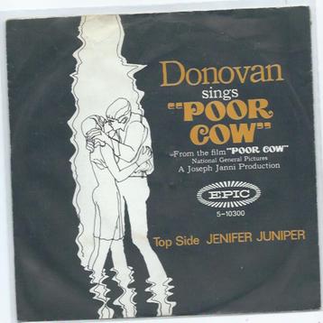 Donovan- Jennifer Juniper beschikbaar voor biedingen