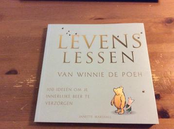 Levenslessen Van Winnie De Poeh 100 Ideeen... zgan beschikbaar voor biedingen