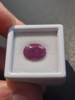 Robijn Mozambique - 4.4 karaat, Ophalen of Verzenden, Nieuw