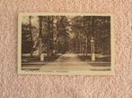 Soesterberg. laan van klein sterrenberg. gelopen 1923, Ophalen of Verzenden, 1920 tot 1940, Gelopen, Utrecht
