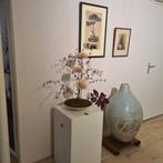 Groeneveldt expositie museum Voorschoten, Ophalen of Verzenden