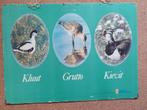 Oude schoolplaat Kluut Grutto Kievit, Ophalen of Verzenden, Natuur en Biologie