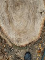 Boomstam eiken schijven Tafelblad 50-60cm, Ophalen, Overige typen, Nieuw, Hardhout
